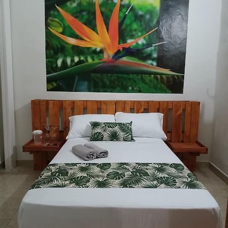 Hospedajes El Jardin Envigado Buitenkant foto