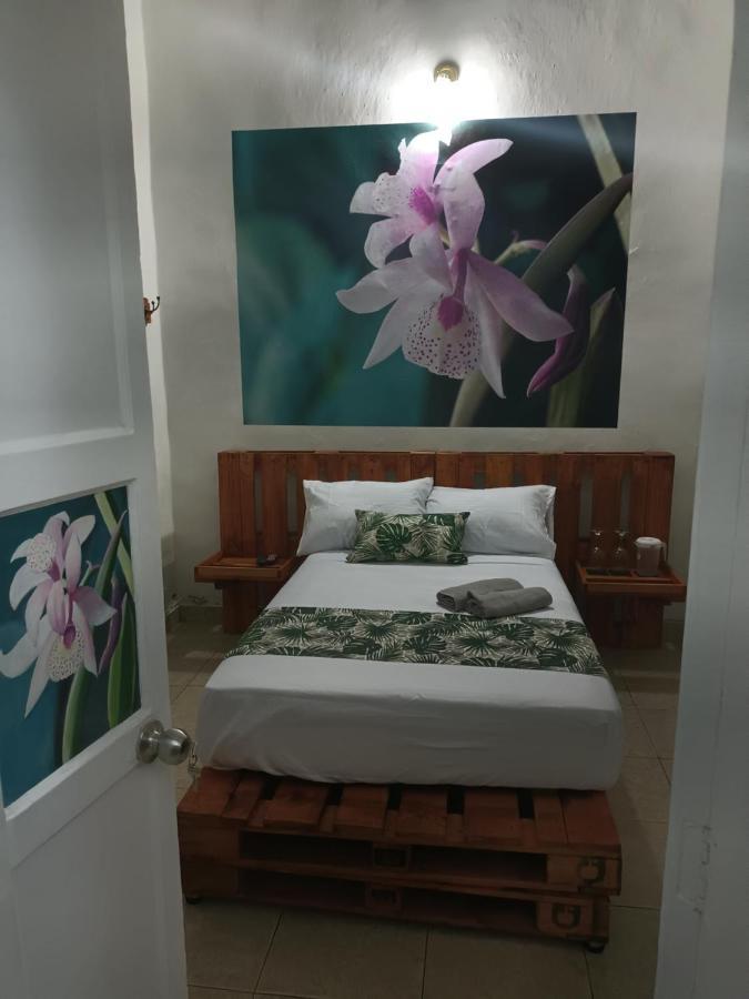 Hospedajes El Jardin Envigado Buitenkant foto